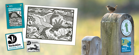 A picture of a wren on a gate post. The contents of our supporter pack has been superimposed on to the image. There is a leaflet, poster, sticker and badge.