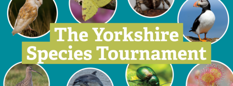 The Yorkshire Species Tournament