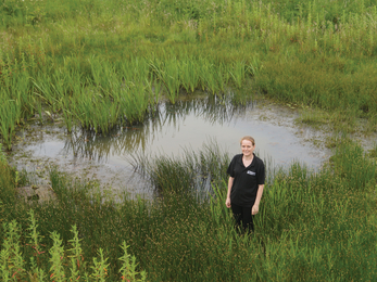 Restored Dew Pond