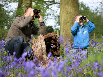 Family birdwatching