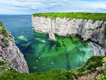 Flamborough Cliffs (credit: George Stoyle)