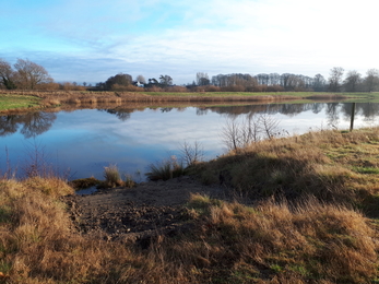 View over Ripon City Wetlands