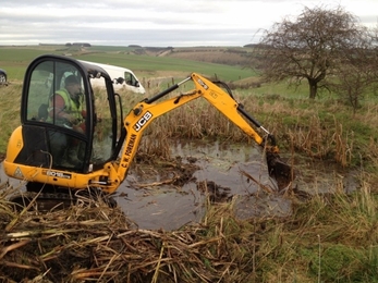 Clearing out an area of vegetation with a 360 excavator