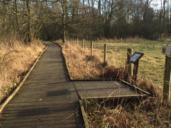 Passing place on boardwalk at Askham Bog