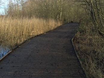 Wider section of boardwalk at pond at Askham Bog