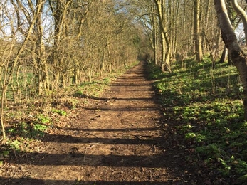 Path from gate to boardwalk at Askham Bog