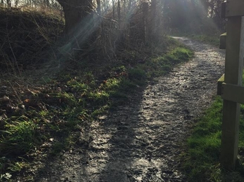 Steeper, narrower section of path to boardwalk at Askham Bog