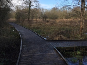 Turn off to pond at Askham Bog