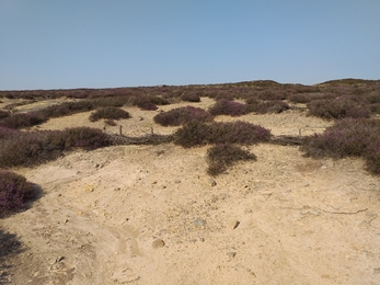 Erosion at Jugger Howe