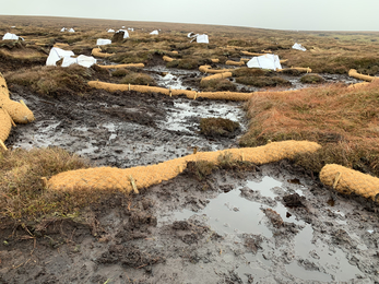 Bare peat with coir logs spread over