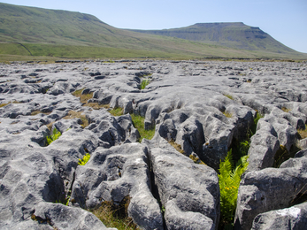 Wild Ingleborough Limestone Pavement - Sara, Telling Our Story Volunteer