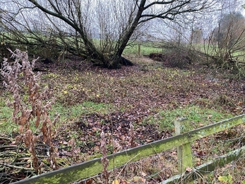 View of an area selected for pond restoration surrounded by winter woodland