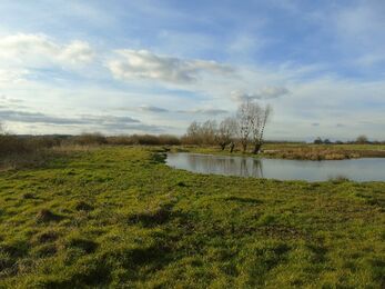 A large grassy area with a pool to the right