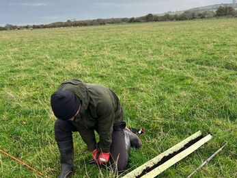 A man is crouched in a grassy field with a long pole driven into the ground