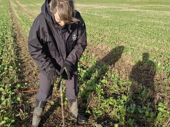 A woman drives a large metal pole into the centre of an agricultural field