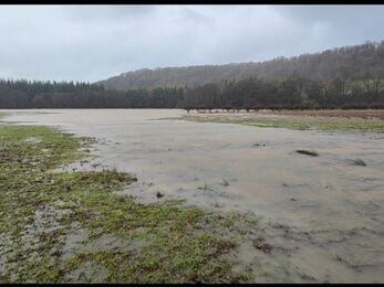 A flooded stream covers much of a muddy-looking field