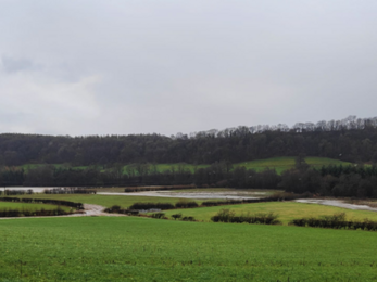 An aerial shot of green fields with a stream winding between them