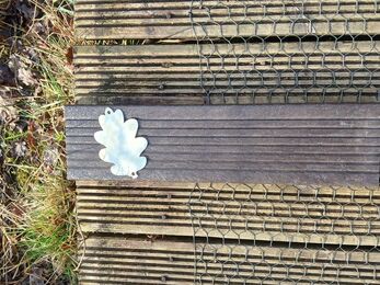 A metallic, oak-leaf-shaped decoration rests on a dark brown wooden plank, with wooden planks and wire mesh beneath, alongside grass and foliage.