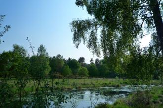 Allerthorpe Common - Kirsty Brown