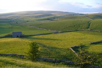 Ashes Pasture Nature Reserve - Charlotte Bickler