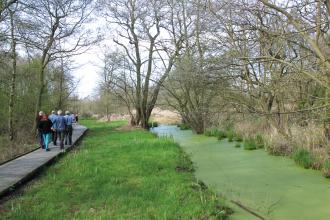 Askham Bog nature reserve - Jono Leadley