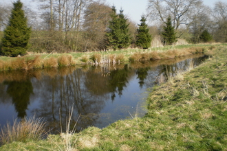 River Wiske