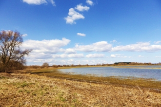 Wheldrake Ings. Credit - Lana Huntley
