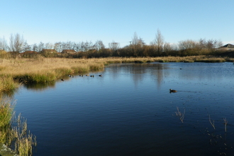 View over pond at Filey Dams