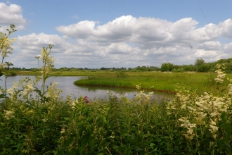 Wheldrake Ings