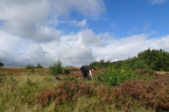 TNL & HHl Task Day.