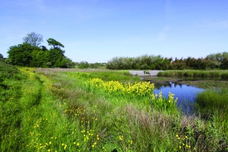 Filey Dams - Ian Robinson