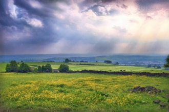 Wharfe Valley