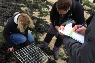 Co-costal Marine Survey