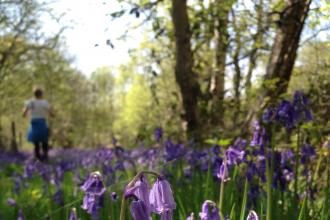 North Cliffe Wood Credit Bex Lynam