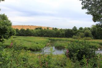 Carlton Marsh Nature Reserve Credit Jim Horsfall