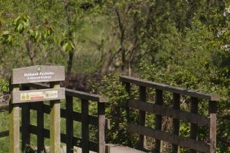 Rothwell Pastures Credit Danny Hill