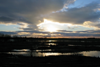 Hatfield Moor, Humberhead Levels