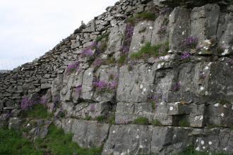 Seata Quarry Nature Reserve Credit Peter Christopherson