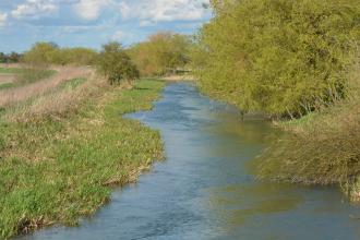 Skerne Wetlands West Beck Chalk River Credit Andrew Gallon