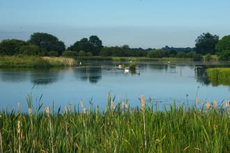 Staveley Nature Reserve Credit Paul Fox