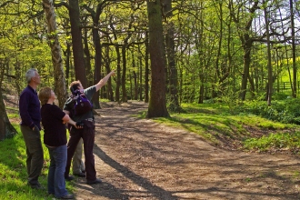 Stoneycliffe Wood bird walk 