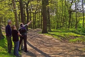 Stoneycliffe Wood Credit Karen Mcdiarmid