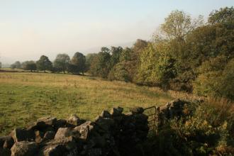 Birch Wood Nature Reserve