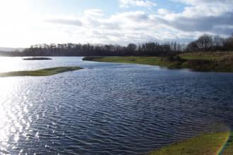 Burton Riggs Credit Helen Percival