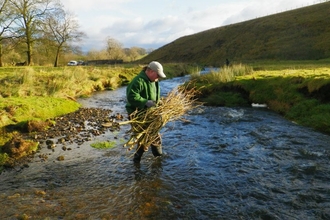 Volunteer on the Upper Aire