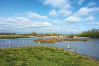 Filey Dams credit Jono Leadley