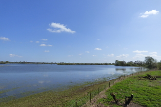 Wheldrake Ings