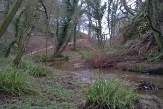 Bushcraft Credit Kirsten Carter