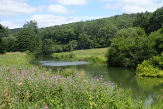 180711 Derwent Kirkham to Howsham