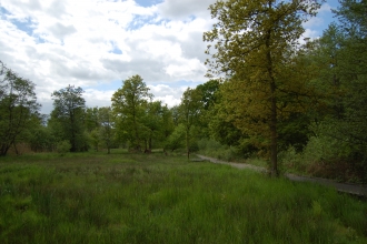 Photo of Askham Bog